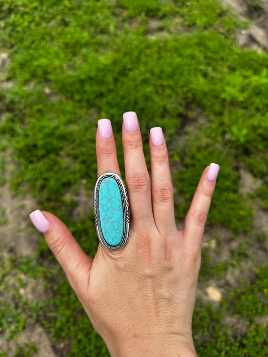 Adjustable Baylor ring