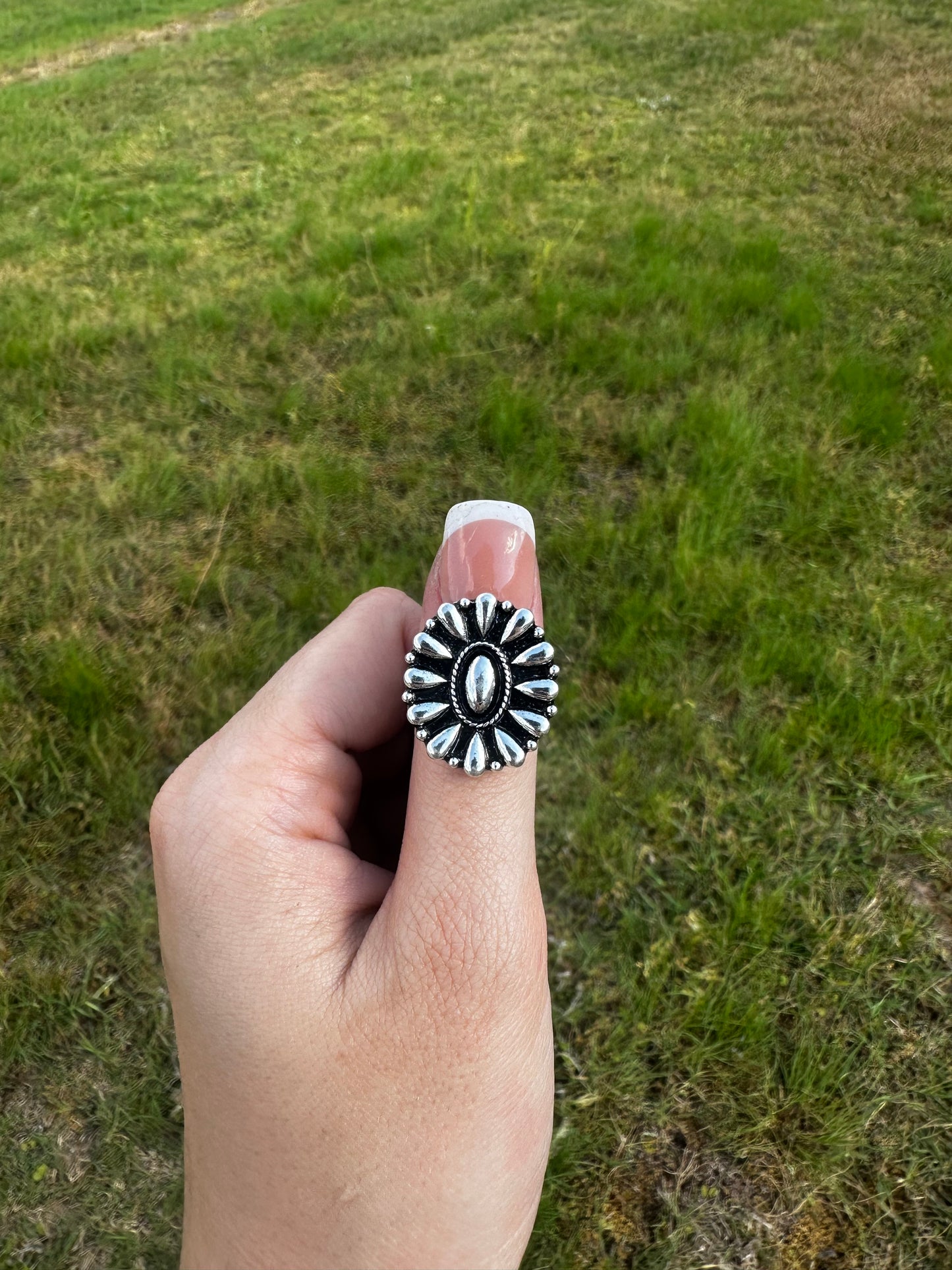 Adjustable kodak ring