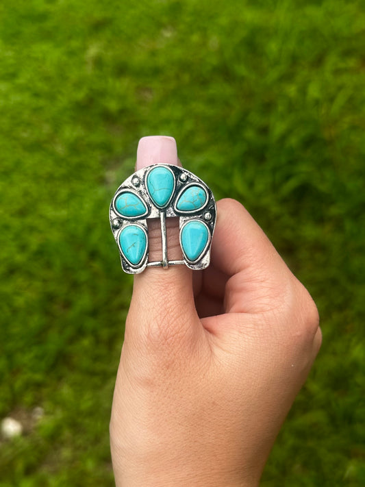 Adjustable buckle ring
