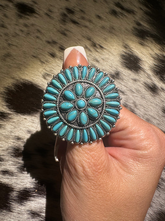 Adjustable dolly ring