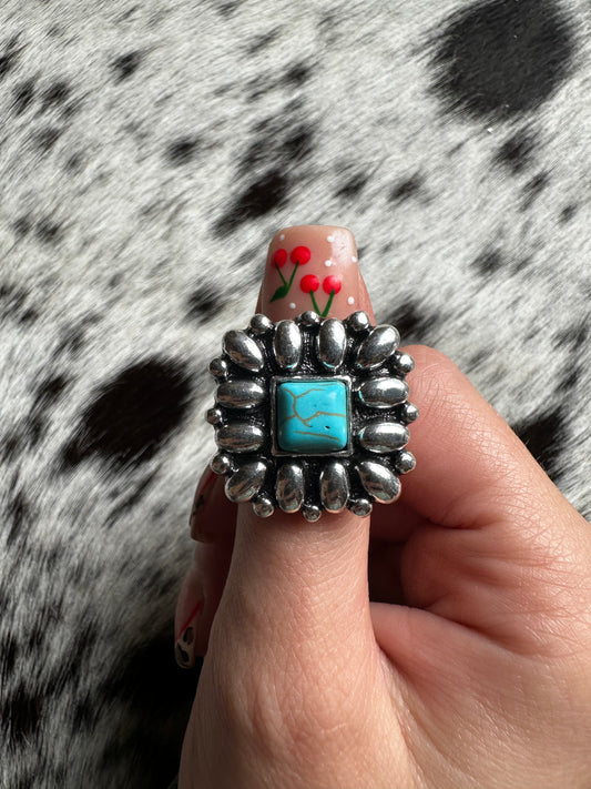 Adjustable ember ring