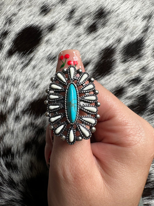 Adjustable Nash ring