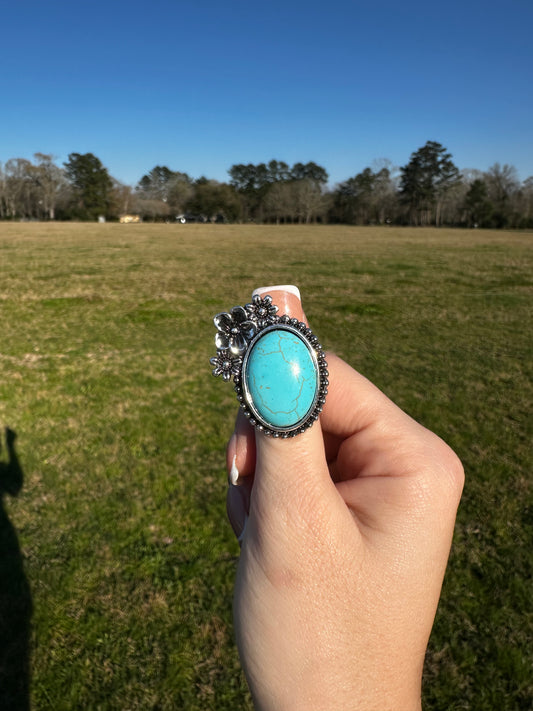 Adjustable Emery ring