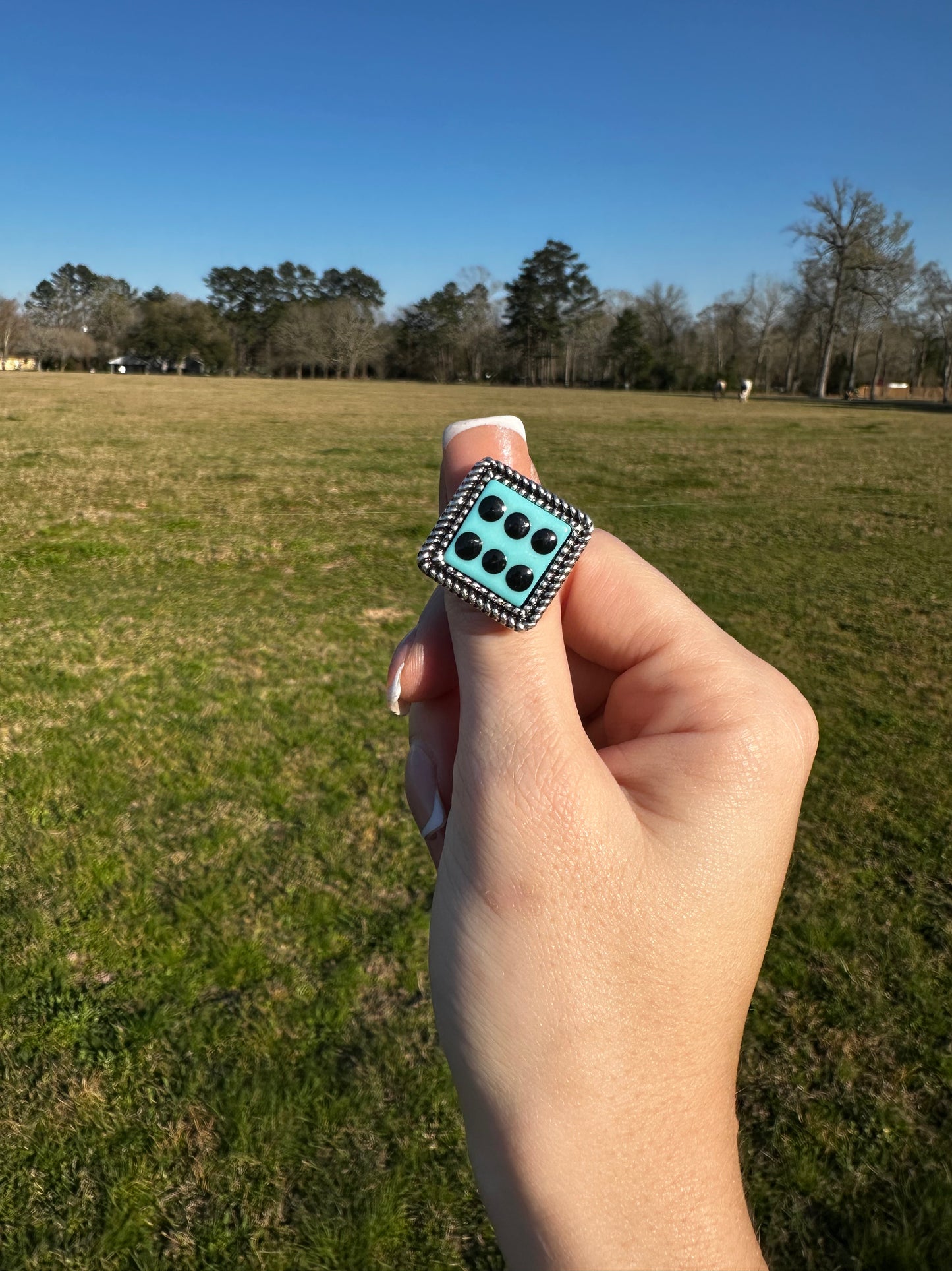 Adjustable dice ring