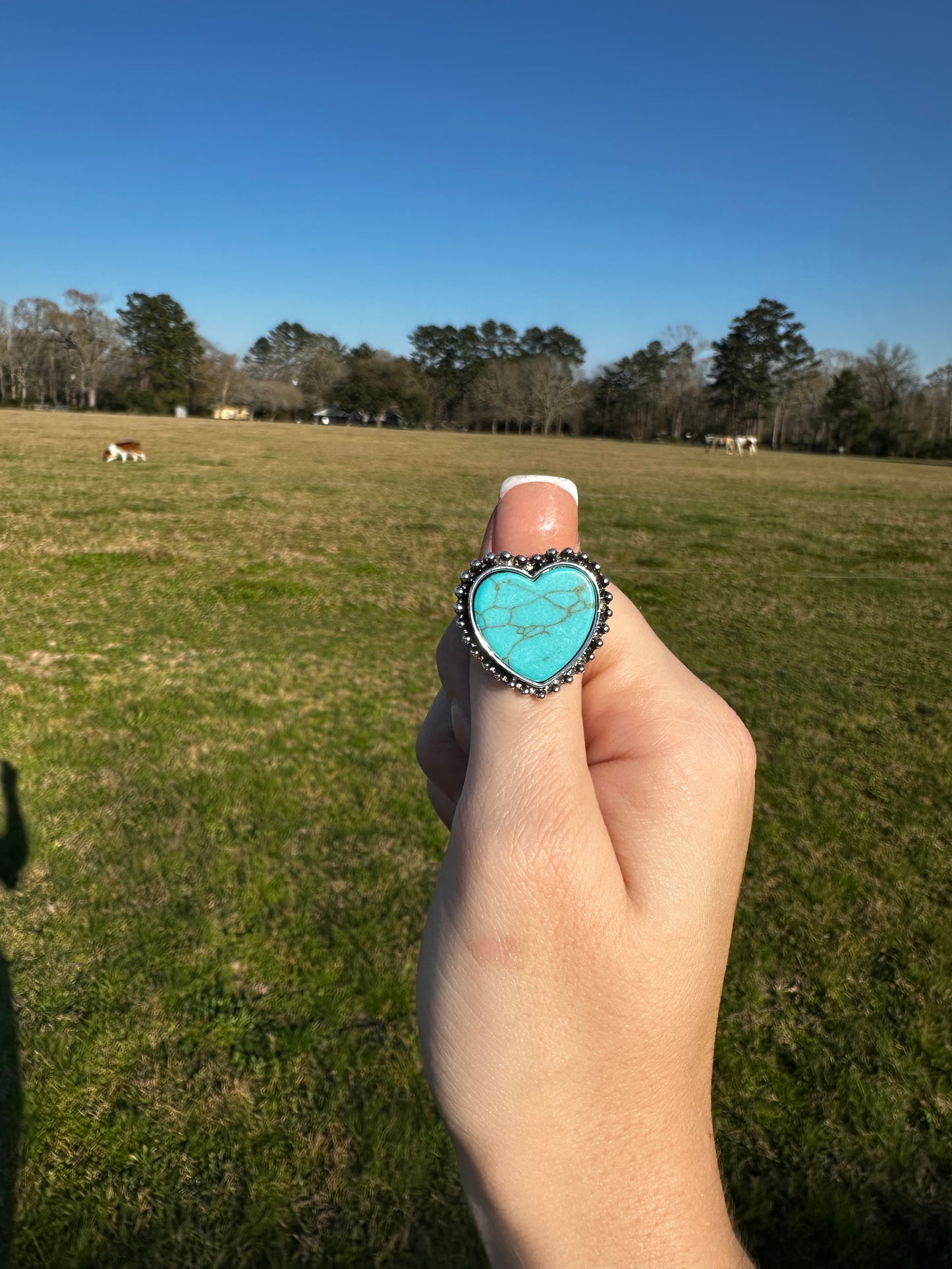Adjustable heart ring